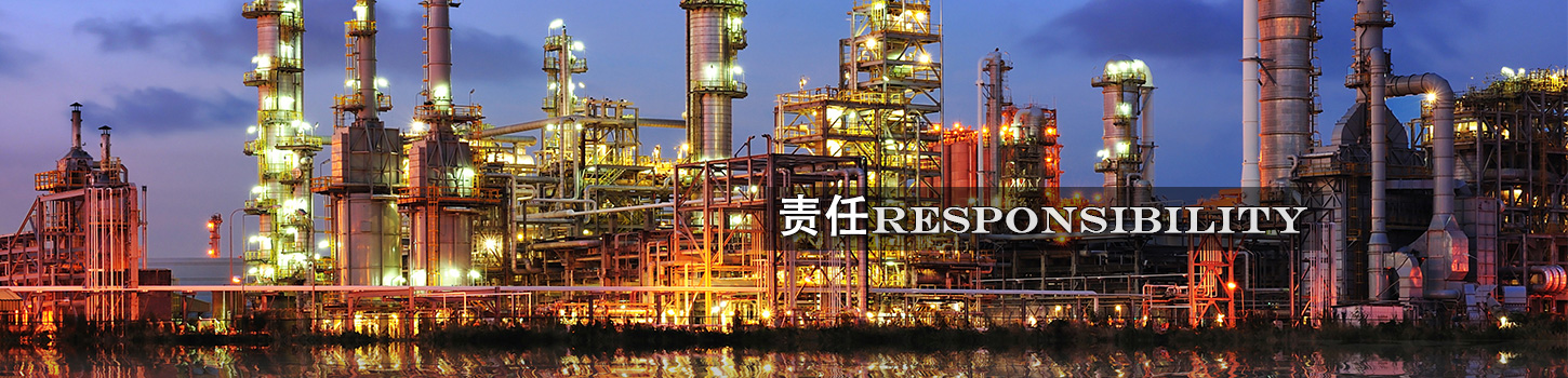 東城電子WEB設(shè)計(jì)-1